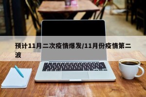预计11月二次疫情爆发/11月份疫情第二波